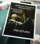 Metamorphosis Insectorum Surinamensium By Maria Sibylla Merian Art Print 11 x14 