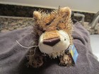 Nwt Unsealed Code Webkinz Ganz Lil  Kinz Leopard Hm031