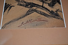 Small Graphite Drawing Of Native American By Santa Fe Artist Gerald Cassidy