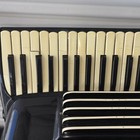 Vintage Pan Accordion    crucianelli   