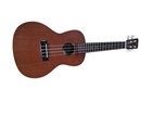 Cordoba Up100 Soprano Ukulele     With Gig Bag
