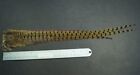 Hareline Whole Natural Ringneck Pheasant Tail Feather Clump Fly Tying