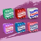 Canel s Original Chewing Gum Assorted Flavors  2-pound Bulk Pack