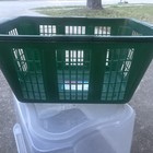 Vintage 1994 Rubbermaid  2965 Laundry Basket Light Green Made In Usa 1 25 Bushel