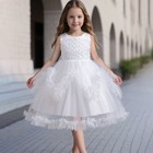 Kids Girls Princess Pageant Tutu Dress Birthday Wedding Bridesmaid Gown Evening