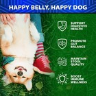 Dog Probiotics - 6 Billion Cfu - Without Yeast - W prebiotics Enzymes Pumpkin   