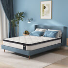 12  Queen Size Memory Foam Hybrid Mattress  Noiseless Motion Isolation Mattress