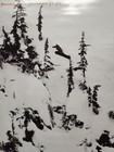 Burton Snowboards Vintage 2003 Romain De Marchi Promo Poster New Old Stock