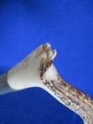 Vintage Horn antler And Leather Stitched Woven Riding Crop whip - 24  