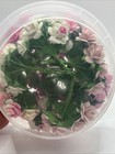 Reduced   New  Handmade Paper Roses- Pink   White  100 Flowers 