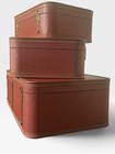 Vtg Starline Luggage Set Of 3 Brown Hard  Case Suit Case Lady Baltimore
