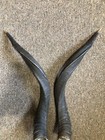 Pair Of Real Kudu Spiral Horns 21    From Tip To Base