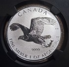 2017 Canada Ngc First Releases Reverse Pf69 Silver Bald Eagle S 5  One Oz Silver