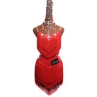 Latin Dance Dress Salsa Tango Ballroom Red Tassel Competition Dress  Performance