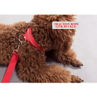 Dog Led Collar Blinking Night Flashing Light Up Glow Adjustable Pets Safety Usa