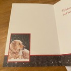 Puppy Dog In Snow Winter Holiday Beauty Of Christmas Season Greeting Card