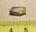 Ptyctodus -tooth  Of Placoderm  devonian Armoured Fish   Voronezh Region  Russia