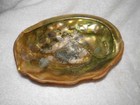 Mcm Footed Abalone Shell Bowl Dish Candy Jewelry Trinket Ashtray 8   