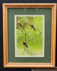 Lot Of 5 Vintage Native Birds Wood Framed Art Prints Pictures Numbered