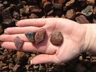 3 Pounds Of Sapphire And Ruby Rough - High Grade Mine Run - Cabbing  Tumbling