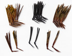 Knotted Pheasant Tail Legs   Natural   Claret black  50 Pieces