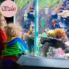 8 Pcs Glow In The Dark Fish Tank Decorations Silicone Floating Artificial Jellyf