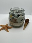 Ocean Shell Gel Wax Candle   Beach Coastal Nautical 7 Ounce Jar   Handmade 3 