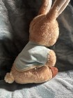 Vtg Eden Toys Peter Cottontail Rabbit Wind Up Musical Plush Works
