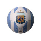 Messi  10 Afa Soccer Ball Official Sizes 2 4 5 Argentina Icon Sports New