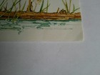 Vintage Greeting Card Raccoon Quiet Times Spent With You Unused Single
