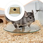 Hamster Running Wheel For Gerbils Mice Hedgehog Chinchilla Workout Turntable