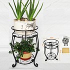 19 Inch Plant Stand 2 Tier Metal Potted Holder Rack Flower Pot Shelf Rustproof