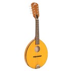 Gold Tone Gm-10 Frypan Mandolin - Open Box
