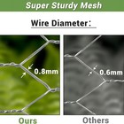 100ft Roll Galvanized Metal 2x1  Hexagonal Chicken Wire Mesh Poultry Net Fencing