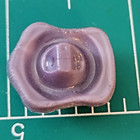 Vintage Moonglow Czech Glass Turtle Shank Button Purple 5 8  W X 3 4  H Collect