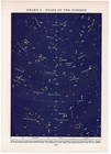 Summer Stars Constellation Chart Astronomy Sky Map Astrology 1948 Vintage Print