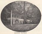 1904 Pacific Electric Railway   Mt Lowe Print Ad     Cool Ye Alpine Tavern Pix 