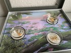 Coin Collection Golden Insect Collection  Rare