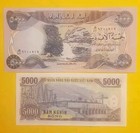 5000 New Iraqi Dinar  - 1 X  5000 - New - Uncirrculated  Plus 5k Vietnamese Note
