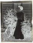 Antique Glass Plate Photo Negative - Portrait Of A Woman And Her Dahlia s