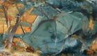Morrisonite Picture Jasper Polished Specimen