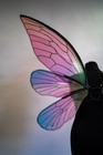 Pink Fairy Wings Costume For Adult Butterfly Elf  Cosplay Iridescent Halloween