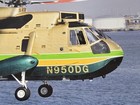 Large Lasd Rescue 5 N950dg Sea King N966sd As350 Harbor 8x12 Evans Photo Pic
