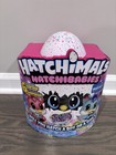 Hatchimals Hatchibabies Egg Foxfinn Nib With 6 Surprise Accessories