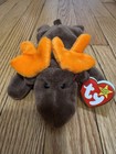 Rare Ty Beanie Babies Chocolate The Moose With Hang Tag Error
