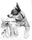 Australian Cattle Dog Martha Van Loan Framed Ltd Ed Signed And Numbered  11x17
