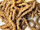 Long Stand Of Antique Orange Beads  Estate Find