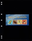  9 50 Scott Value - 2013 Ghana Seashells S s Shells West Africa Cv Mnh Nh Umm