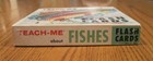 1962  Teach Me About Fishes  Flash Cards In Full Color  Mcgraw-hill Book Co 