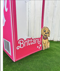 Doll Photo Booth  Popular Pink Doll  Birthday Girls  Barbie Inspiration